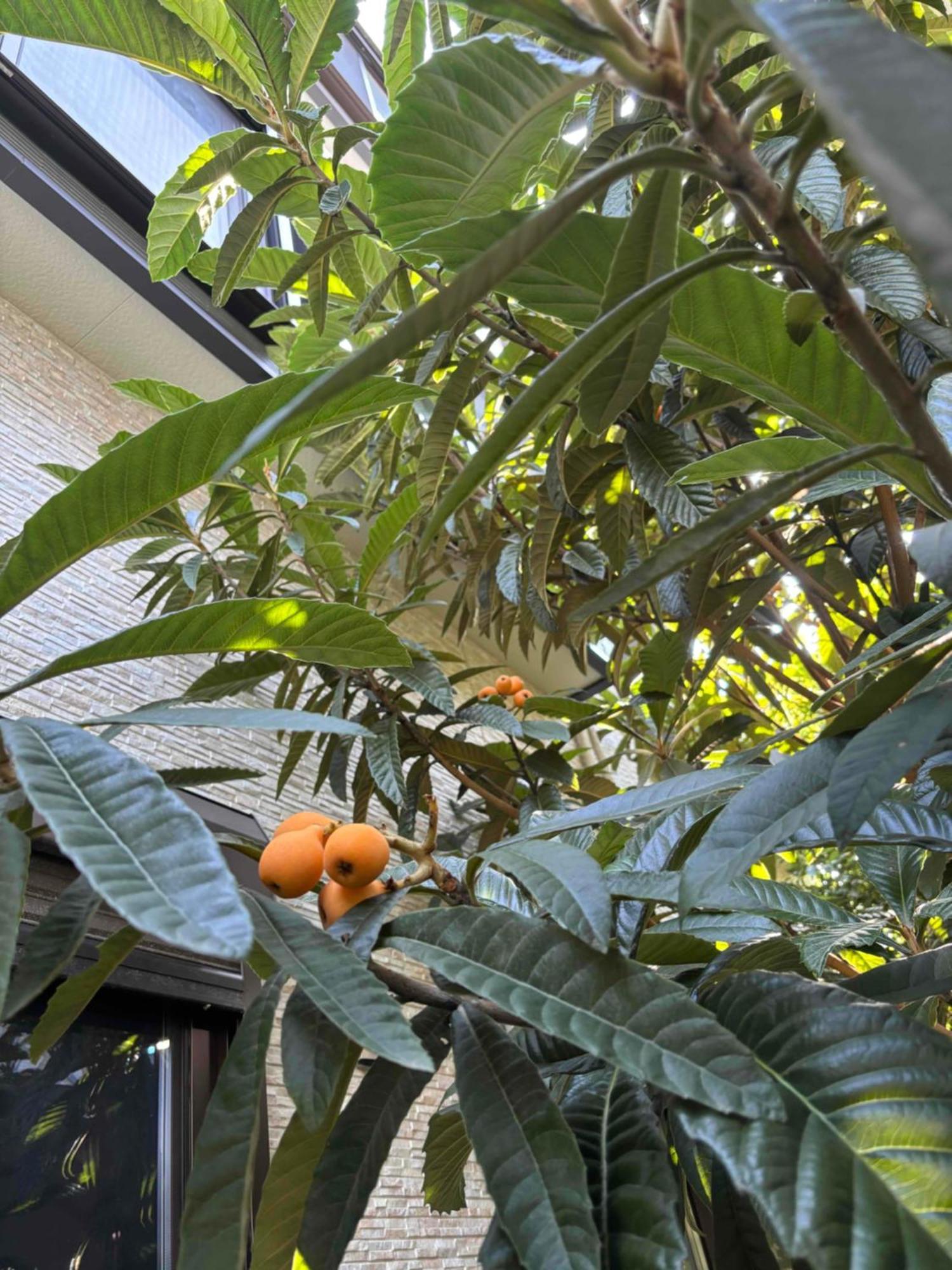 Guest House Harukawa Osaka Exterior photo